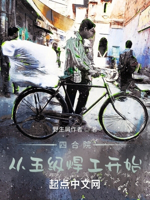 四合院:从五级焊工开始TXT下载全文阅读