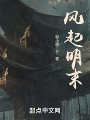 风起明末超长合集